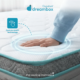 Kasur Dingin Quantum Dreambox